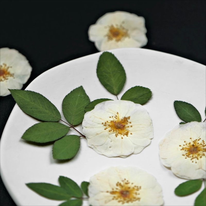 6pcs,9pcs,Nature White Rose Pr - огляд і ціна Resin Craft Ideas