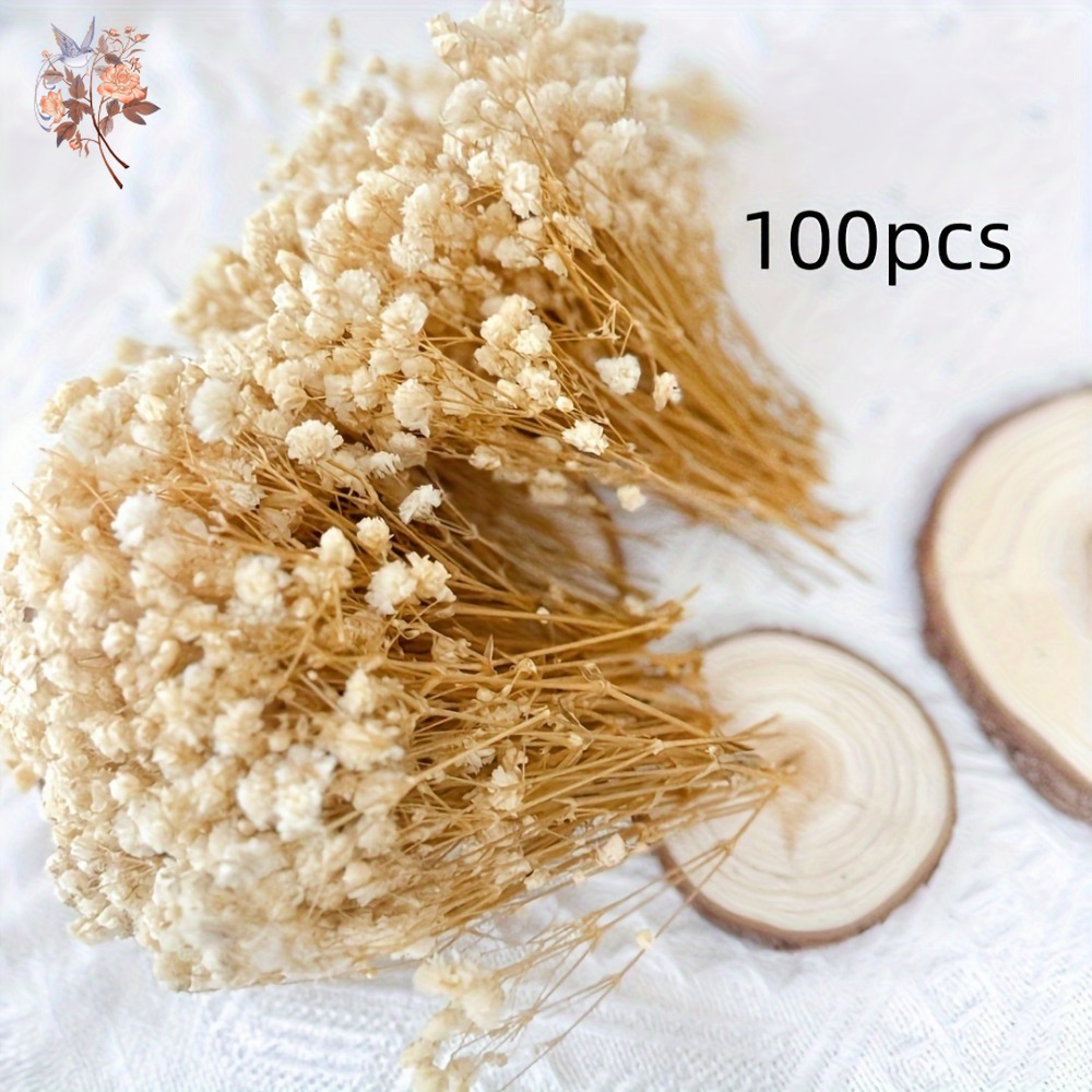 100pcs Mini Dried Baby's Breat - огляд і ціна Resin Craft Ideas